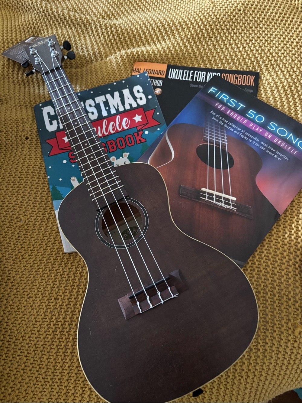Brand New Ukulele + 3 Instructional Books – $75 OBO 🎶